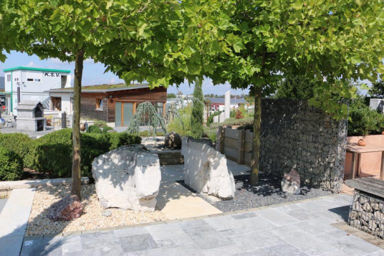 Mehr über den Artikel erfahren Kontakt