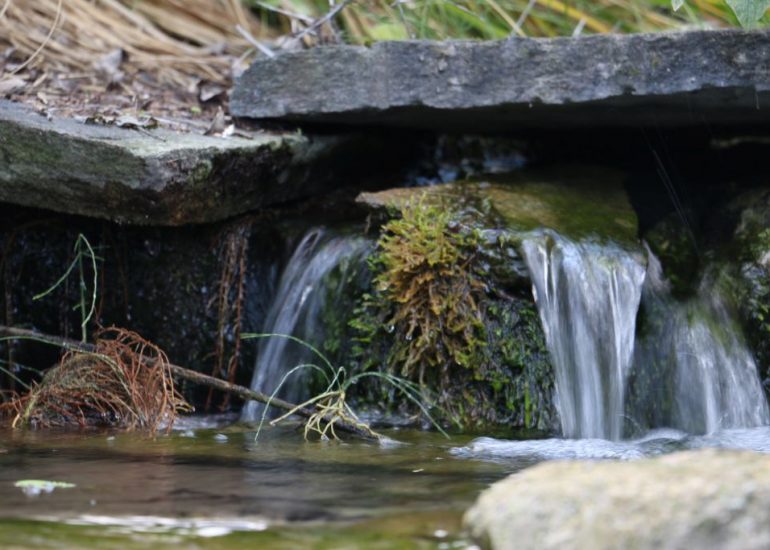 Naturstein-Garten_Galerie06