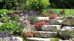 Lebendige Steingärten