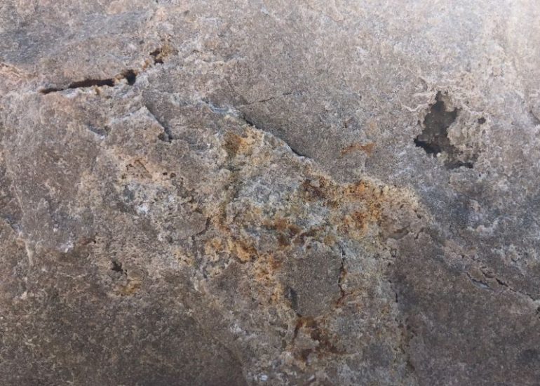 Wachenzeller Dolomit – Alleskönner unter den Kalksteinen Wachenzeller Dolomit – Alleskönner unter den Kalksteinen